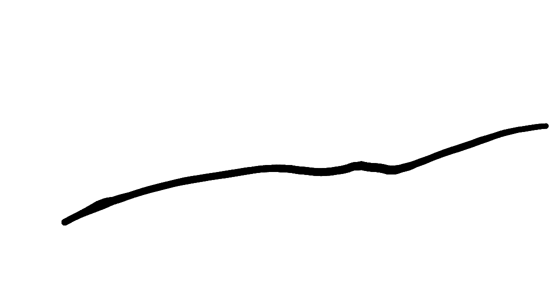 Foreman Signature