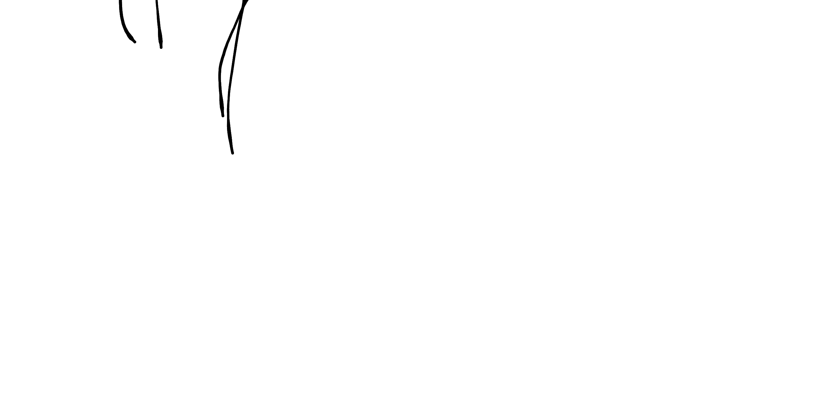 Signature Signature