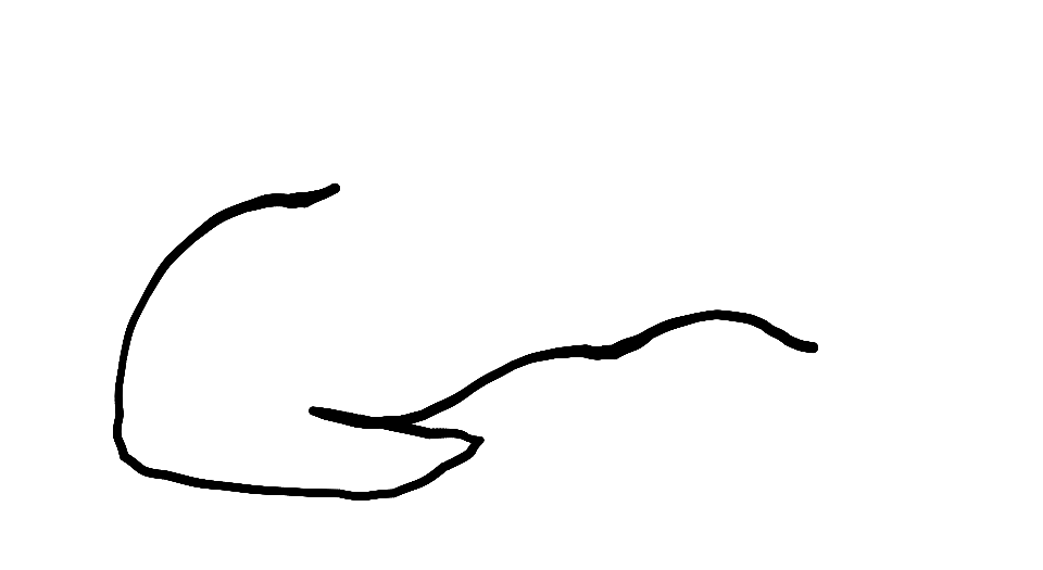 Signature Signature